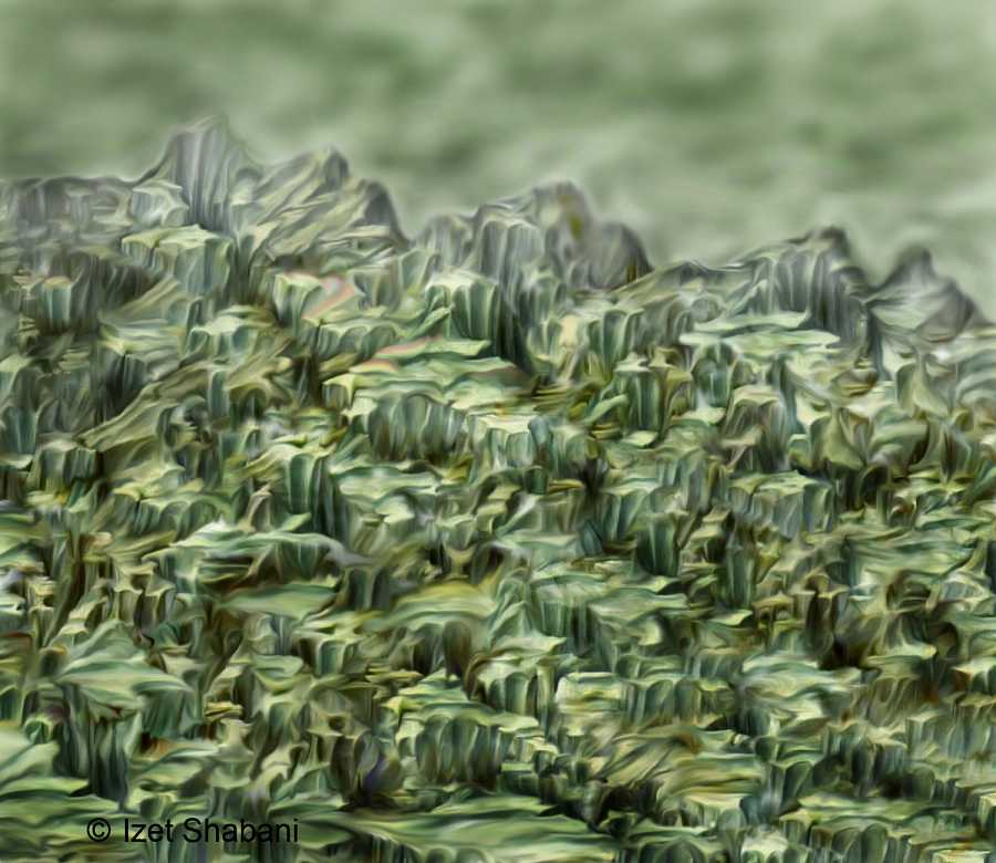 De rotsvallei — 2009 by Izet Shabani